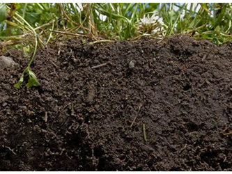 SOIL
